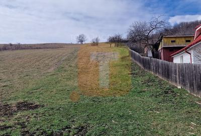 Teren intravilan de vânzare , 3600 mp – Piatra Neamț, zona Balaur - 4
