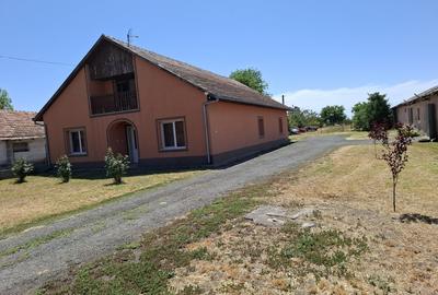 Proprietate mixta de vanzare in Nadlac - Casa moderna + hala/grajd + teren mare - 3
