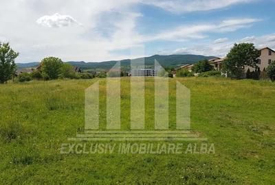 Teren Construcții intravilan de 5000 mp, în Sud-Vest - 2