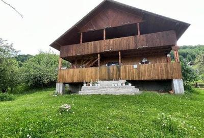 Cabana de 210mp, 2600 mp teren, in Rachitele - 12