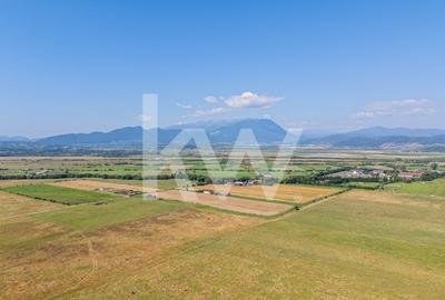 Teren : Parcele de 1.000 mp in Glajerie, Rasnov - comision 0% pentru cumparator! - 8