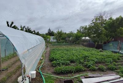 Casă cu Teren 1000 Mp în Central - 2