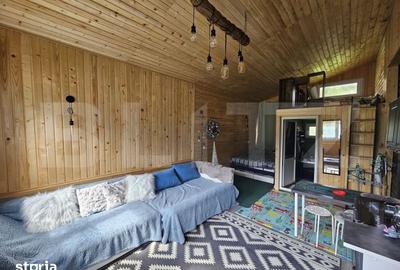 Casă cu 2 camere cu Teren 250 Mp în Sălciua - 11