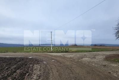 TEREN I ADANCATA I 36 Ari I LOC DE CASA I 37000 Euro I COMISION O% ! ! - 1