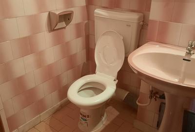 Apartament cu 3 camere decomandat în Trivale - 8