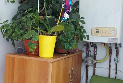 Apartament cu 2 camere decomandat în Torontalului - 2