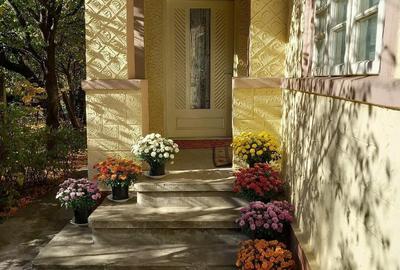 Casă cu 4 camere cu Teren 1000 Mp în Boldești - 3