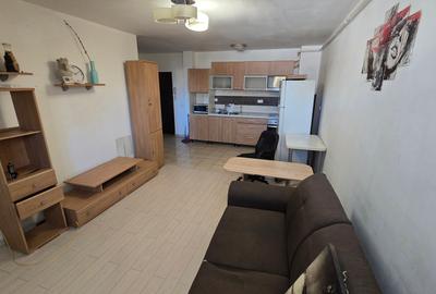 Apartament cu 2 camere decomandat, mobilat în Roșu - 8