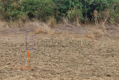 Teren Construcții intravilan de 527 mp, în Domnești - 3