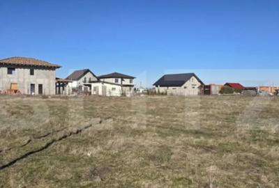 Teren în Torontalului - 1