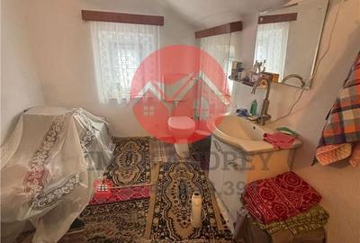 Casă cu 4 camere cu Teren 4489 Mp în Murighiol - 2