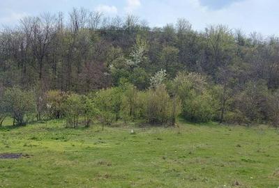 Teren de 3100 mp, în Axintele - 4