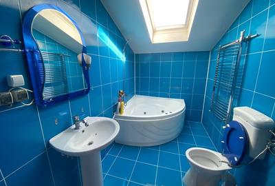 Vila Deosebita P+1+M pe Colt – 325mp Utili, Curte Amenajata 590mp | Fundeni - 19