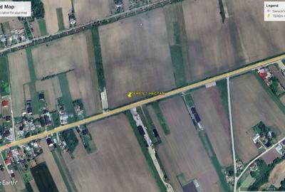 Teren de 10000 mp, în Timișești - 3