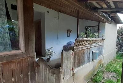 Casă cu 5 camere cu Teren 4500 Mp în Bâscenii de Sus - 5
