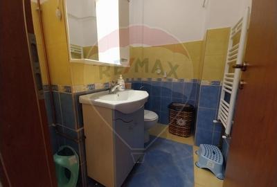 Apartament cu 3 camere decomandat, mobilat în Calea Severinului - 15