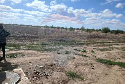 Teren de 4500 mp, în Ciorogârla - 6