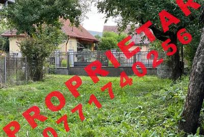Casă cu Teren 1642 Mp în Bonț - 5