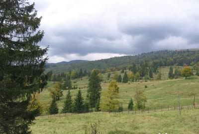 Teren de 1634 mp, în Valea Râșnoavei - 5