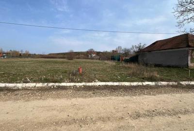 Teren de 1776 mp, în Alparea - 6