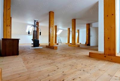 Proprietar vand vila d+p+e+m cu o suprafata generoasa de 540 mp construiti, teren amplu de 950 mp - 12