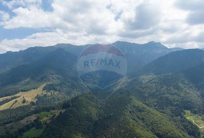 Teren Panoramic in Bran Vedere spre Bucegi & Piatra C... - 3