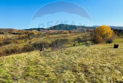 Teren 5,325mp Rona de Jos / Soseaua Prinncipala - 2