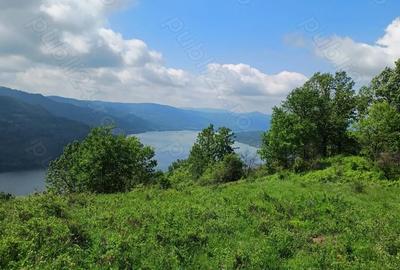 Teren de 18500 mp, în Central