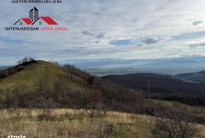 Teren de 8010 mp, în Vințu de Jos - 14