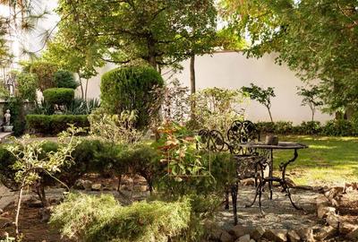 Timisoara - Girocului Vila 12 Camere 4 Bai | 497mp Utili 1373mp Teren - 3