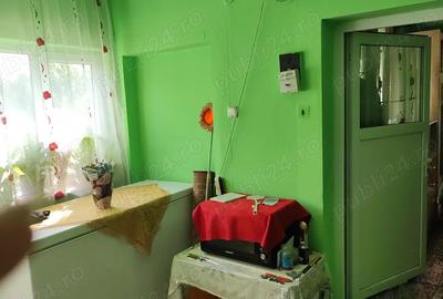 Casa de vanzare in loc.Halmeu - 1