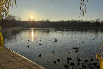 Apartament 3 Camere Aleea Sinaia - Doamna Ghica - 17