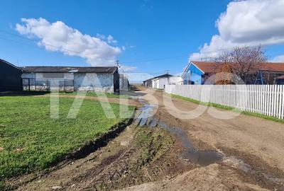 Teren de vanzare pe drumul vechi al Pianului - 1