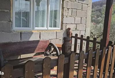 Casa de vanzare in comuna Botesti, Arges Casa de vanzare in comuna Botesti, Arges - 6