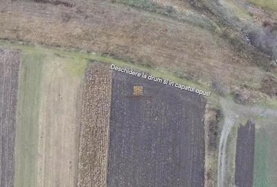 Teren de 14066 mp, în Mihoveni - 9