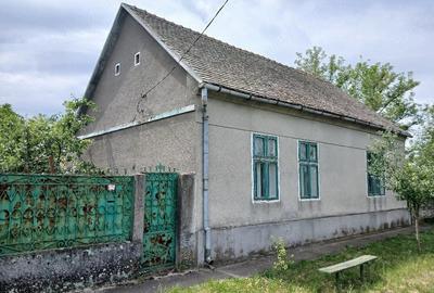 Casă cu 3 camere cu Teren 2877 Mp în Iosif - 9