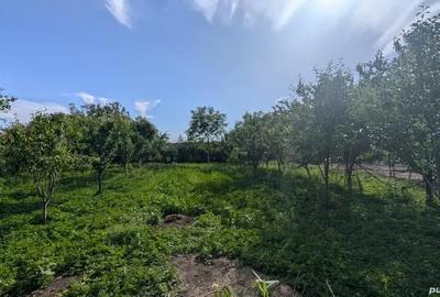 Casă cu 4 camere în Sinești - 7