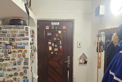 Apartament cu 2 camere decomandat în Bejan - 11