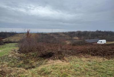 Teren de 5000 mp, în Mocira - 2