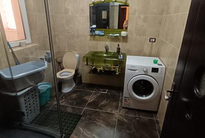 Vila pe strada Vasile Lupu - Ultracentral - 10
