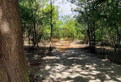 Spațiu comercial, în Central - 2