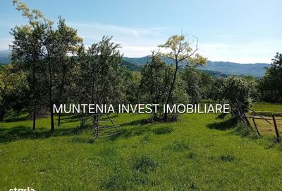 Spațiu comercial, în Brădetu - 14