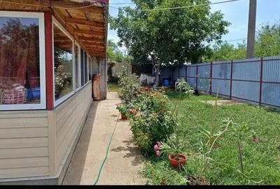 Casă cu 3 camere cu Teren 1800 Mp în Sărulești - 4