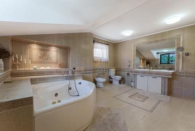 Vila exclusivista, 5 camere si piscina - Str.Erou Iancu Nicolae-Pipera - 19