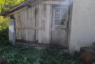 Gospodarie in Jud. Valcea, com. Pe?ceana, sat Ursoaia, 2 case ?i anexe - 3