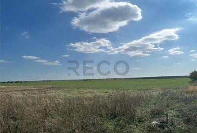 Teren de 25100 mp, în Sântandrei