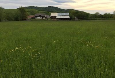 Teren de 30000 mp, în Crăcăoani - 1