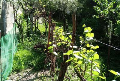 Casă cu 5 camere cu Teren 1000 Mp în Central - 2