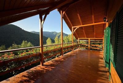 Cabana - Casa de vacanta situata in Muntele Rece! - 11