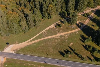 Teren Construcții intravilan de 10440 mp, în Drumul Poienii - 9